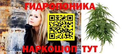 прущая мука Пушкино