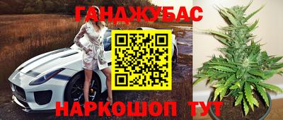 шишки Пугачёв