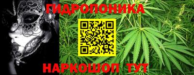 шишки Пугачёв